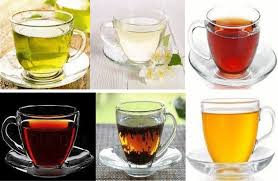 Green Tea vs. Other Teas and Beverages