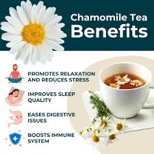 Is It Possible to Drink Chamomile Tea Every Day?